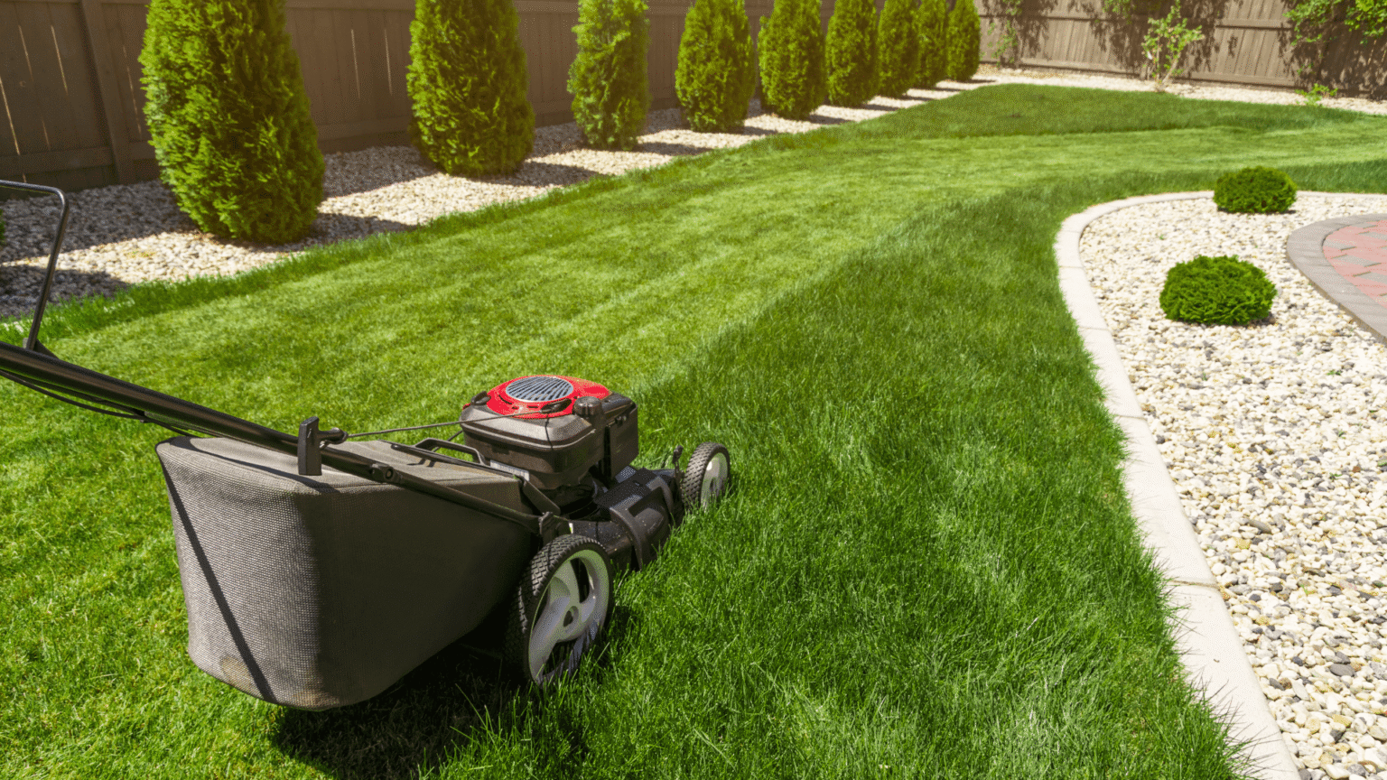 Lawn mower trimming backyard grass with neat green lawn edges