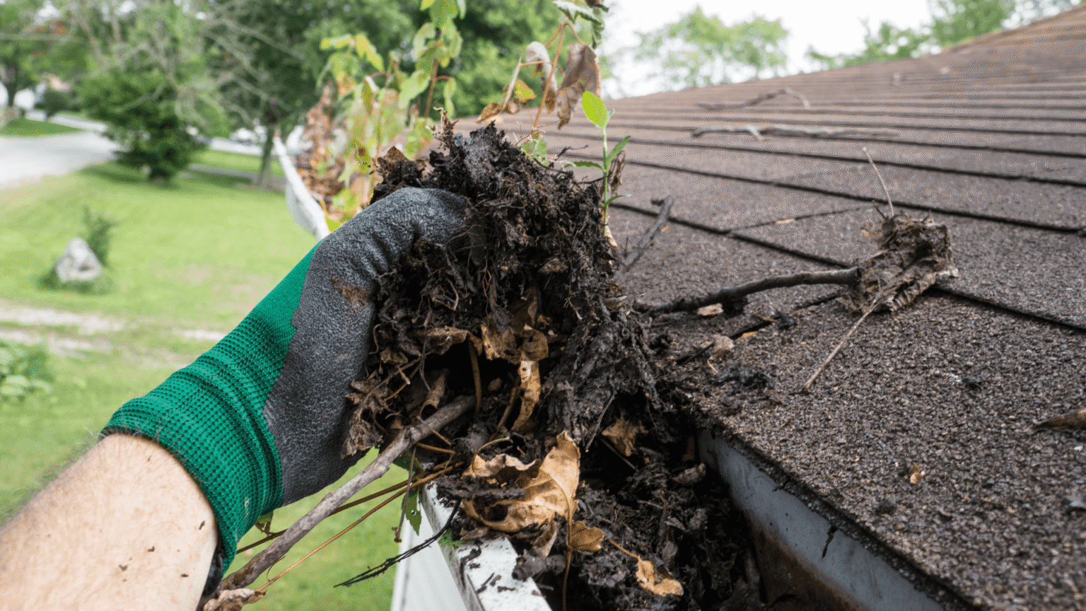 Gloved hand removing leaves and debris from house gutter